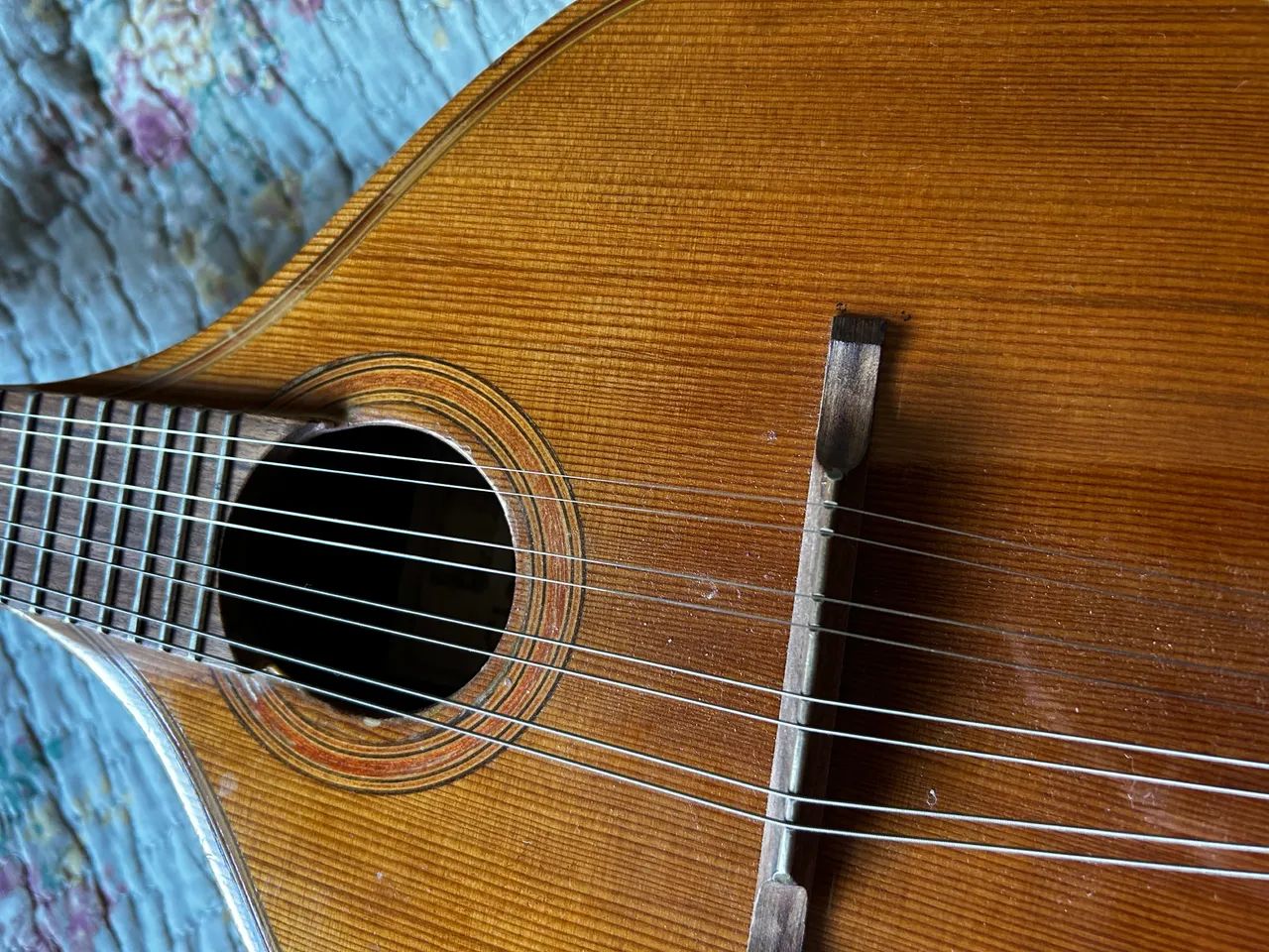 Bandolin Giannini raridade  - Foto 2