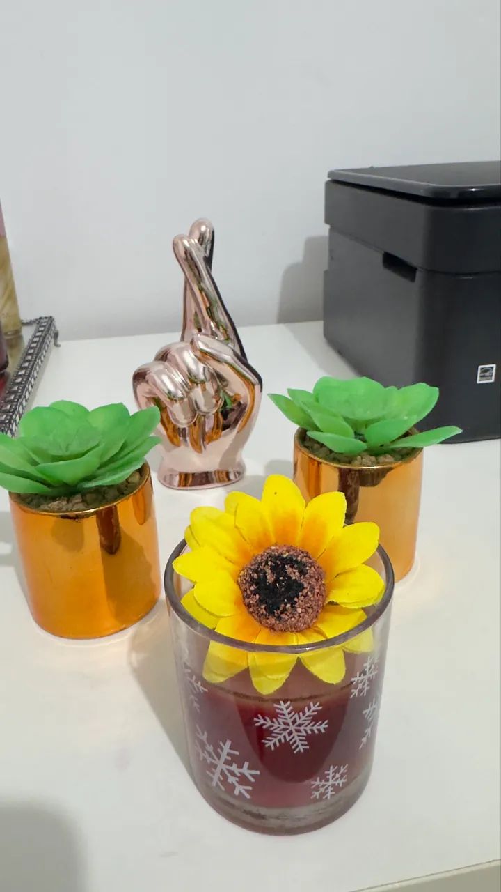 Adornos - Foto 3