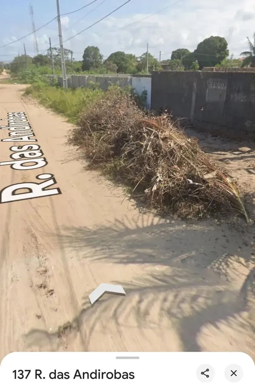 vendo terreno Pq das Árvores  escriturado - Foto 2