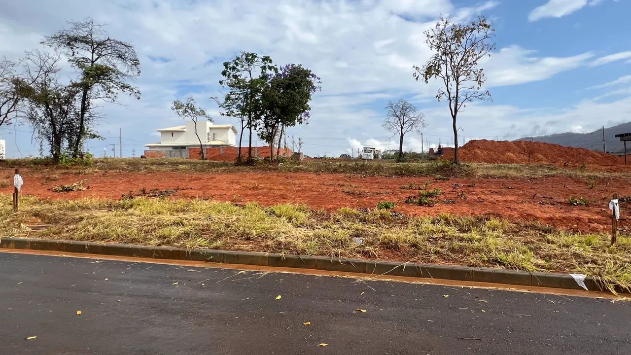 Lote Hibiscos - Foto 2