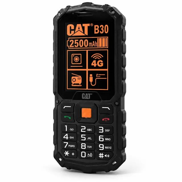 Celular Para Idosos Cat B30