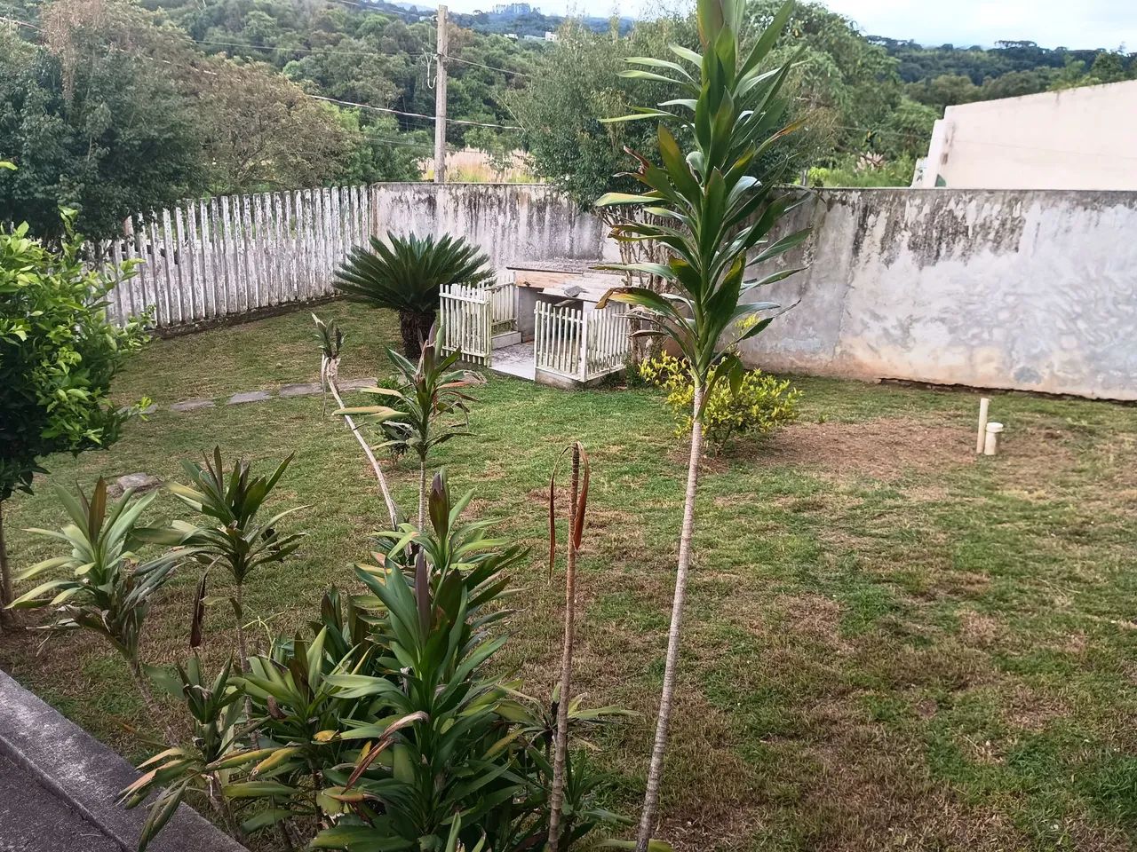 Foto - Almirante Tamandaré - Jardim Apucarana