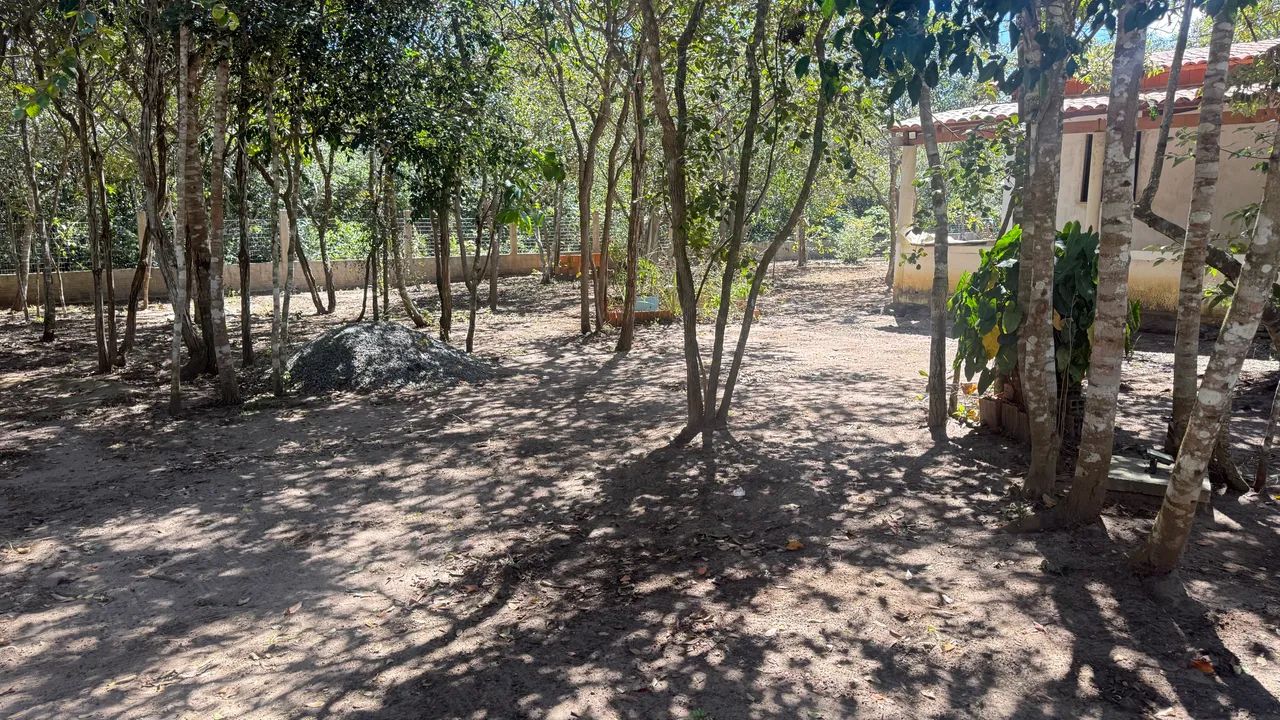 TERRENO COM CASA NA SERRA DO CRATO - Foto 4