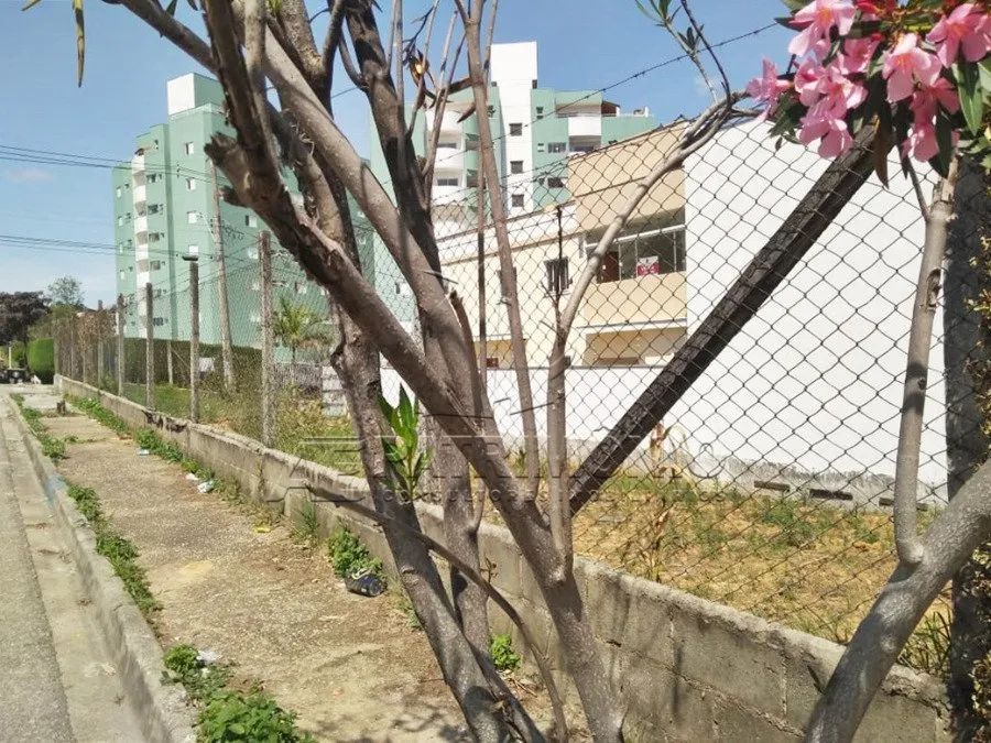 TERRENO,0 Dormitorio(s) bairro Simus - Foto 4