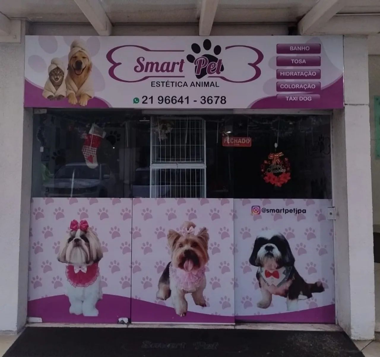 Consultório veterinário 