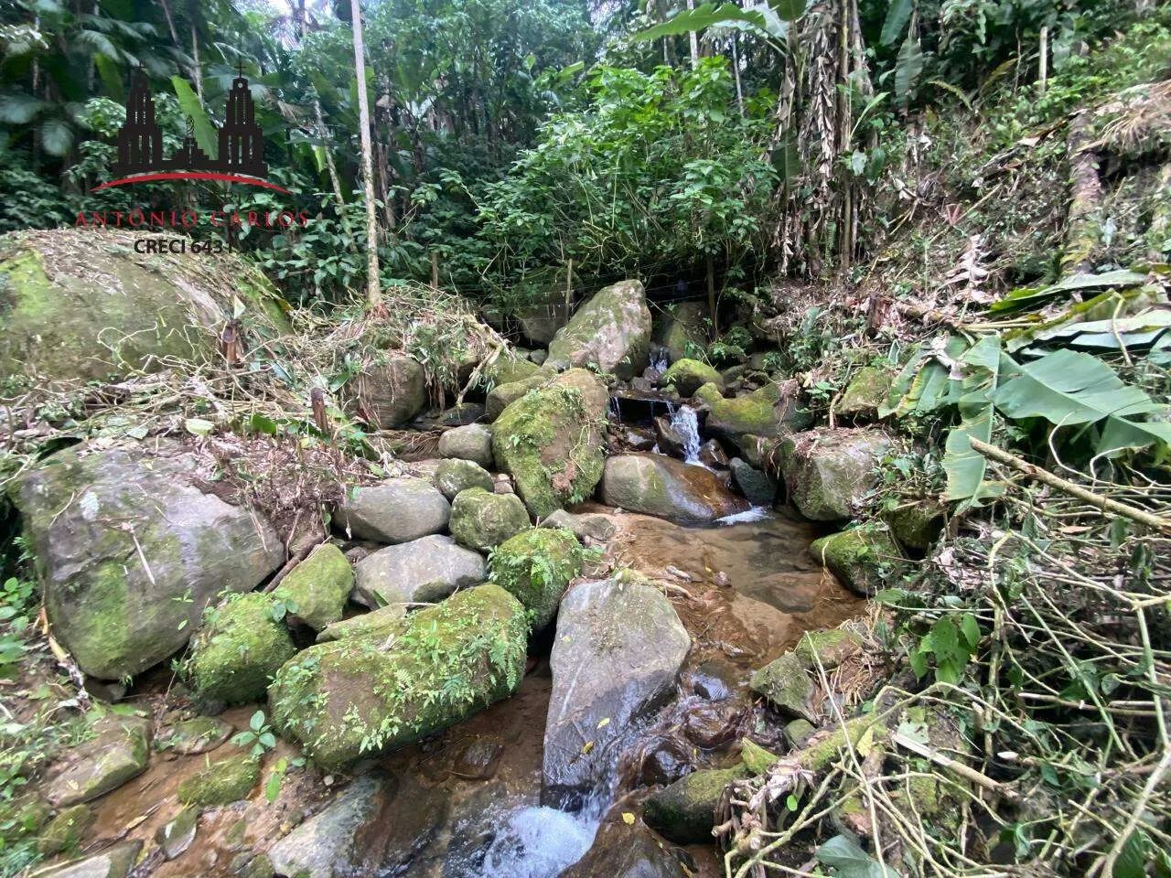 Sítio com 23.000m² à venda em Antônio Carlos/SC - Foto 5