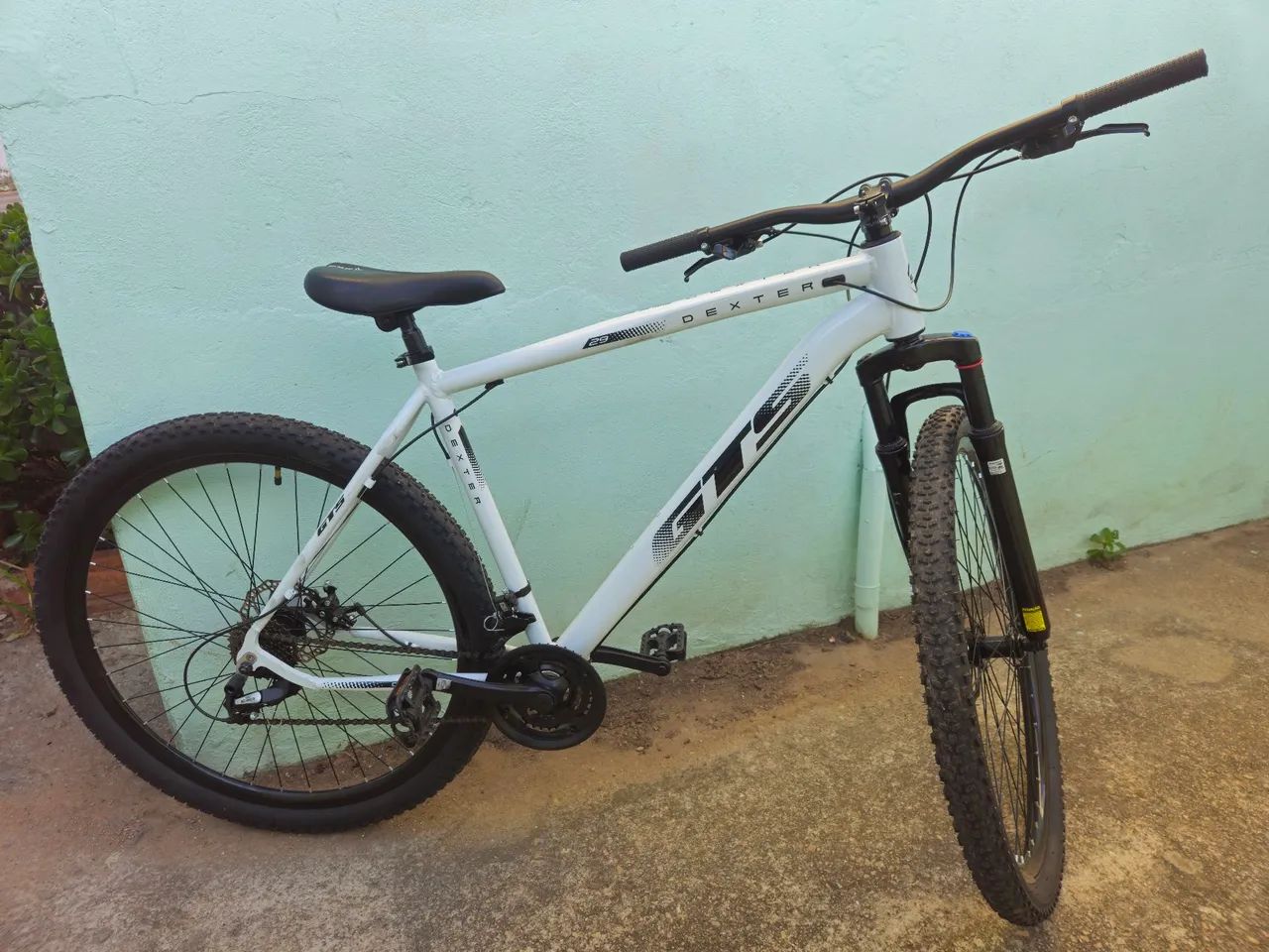 Bike Dexter Aro 29