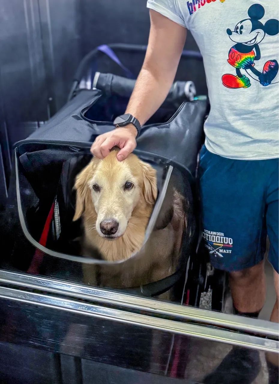 Carrinho Passeio Pet Cães Médio Grande Porte Até 60kg Pc400t - Foto 4
