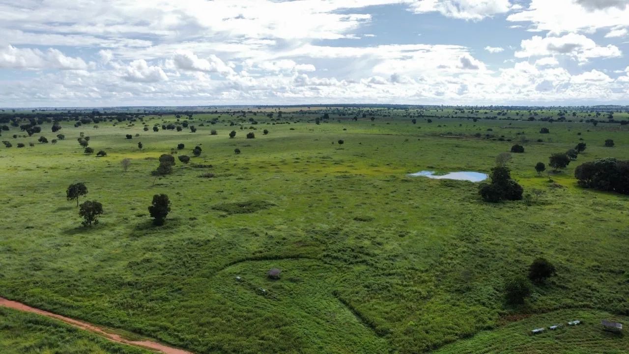 Fazenda à venda 148 alq em Nova Crixás-GO  - Foto 4