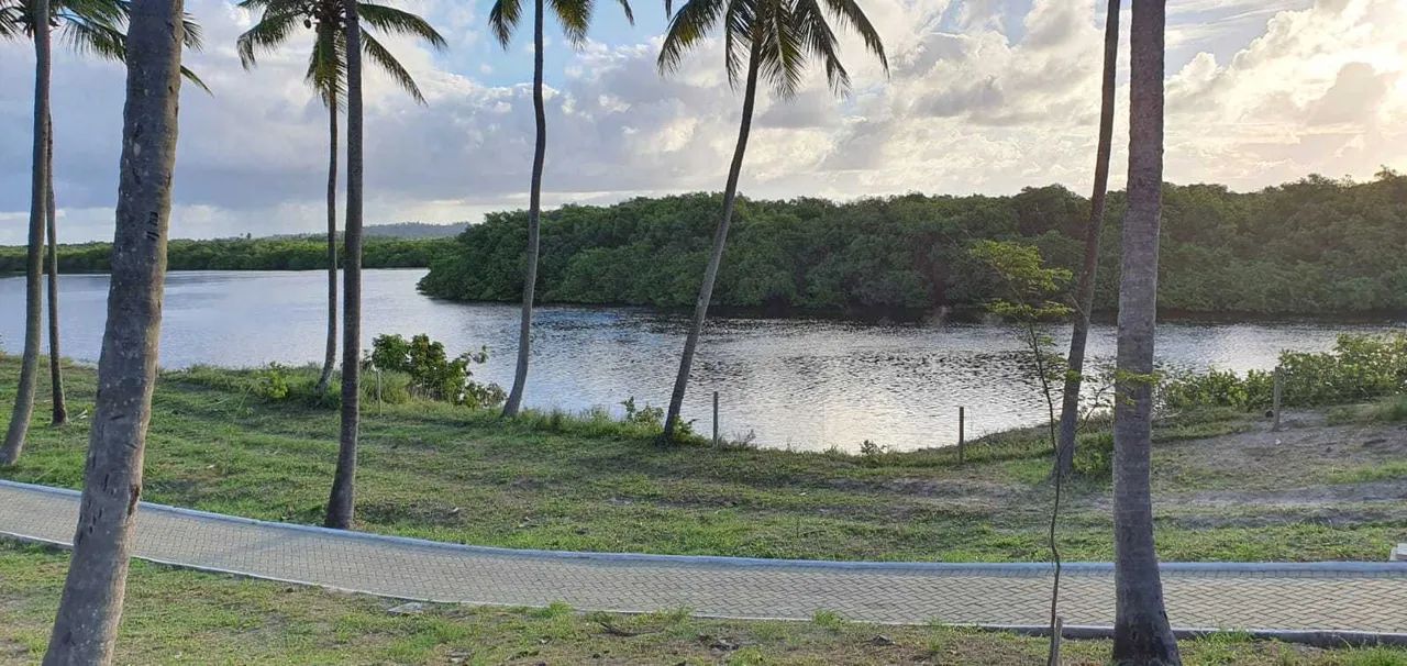 Villaredo Aruana - Lote med. 256,90m². [4724] - Foto 5
