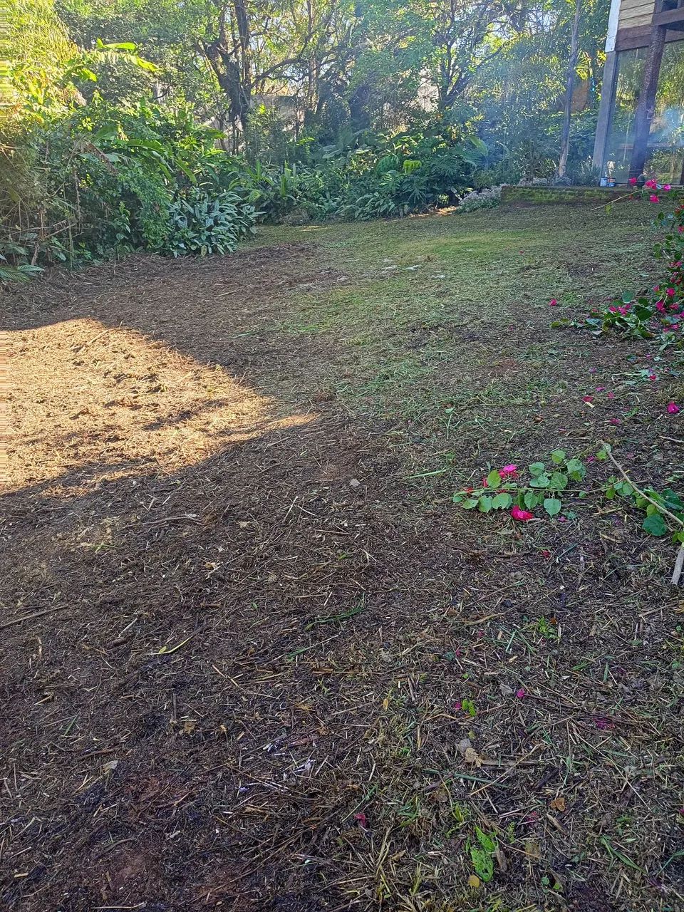 Roçagem  - Foto 4