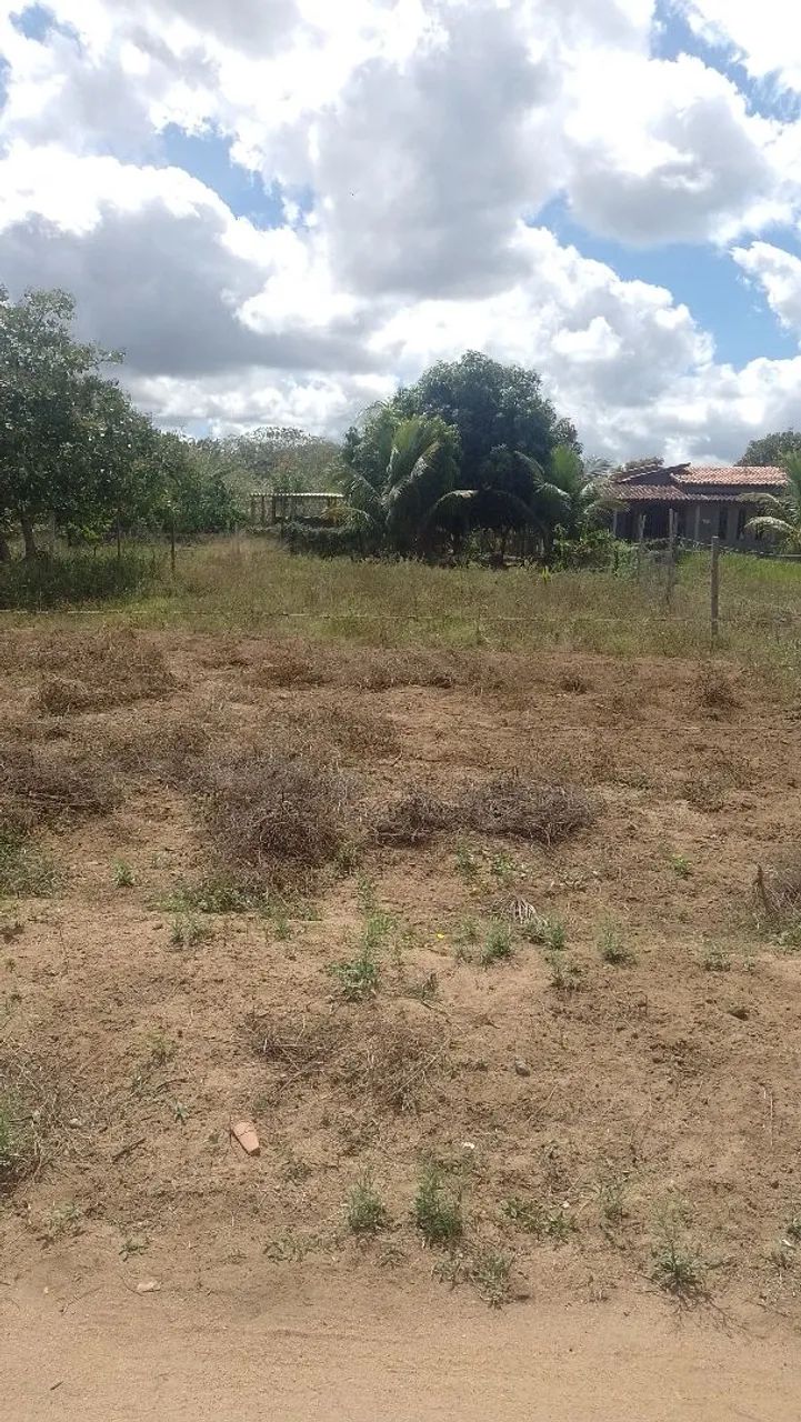Foto - Cabaceiras do Paraguaçu - 