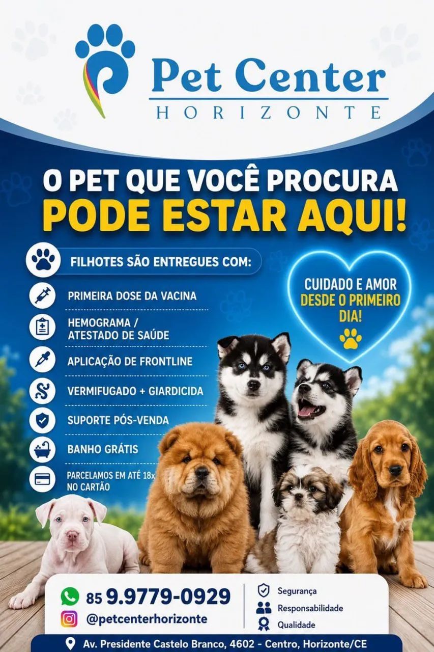 LINDO FILHOTE POODLE - Foto 2