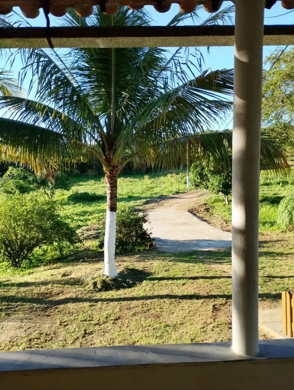 Sítio Serra Verde - Riacho das Almas - Foto 3