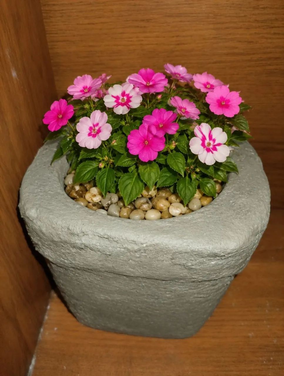 Vasos para plantas  - Foto 2