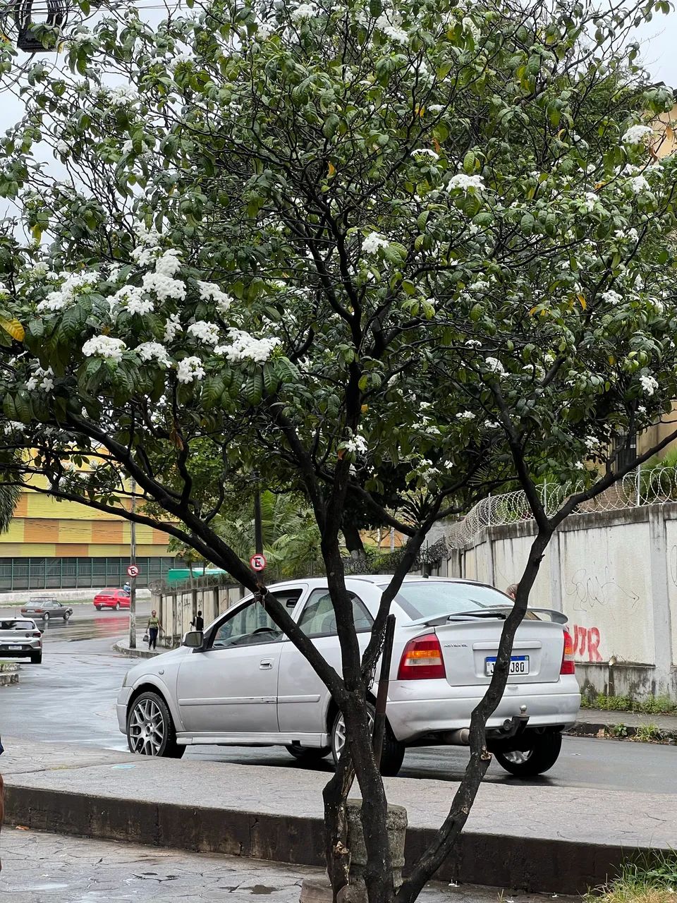 Chevrolet Astra GL 1.8 MPFI 3P 2001