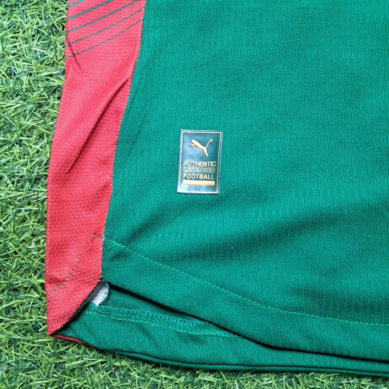 Camisa Palmeiras Verde 2026 - Foto 3