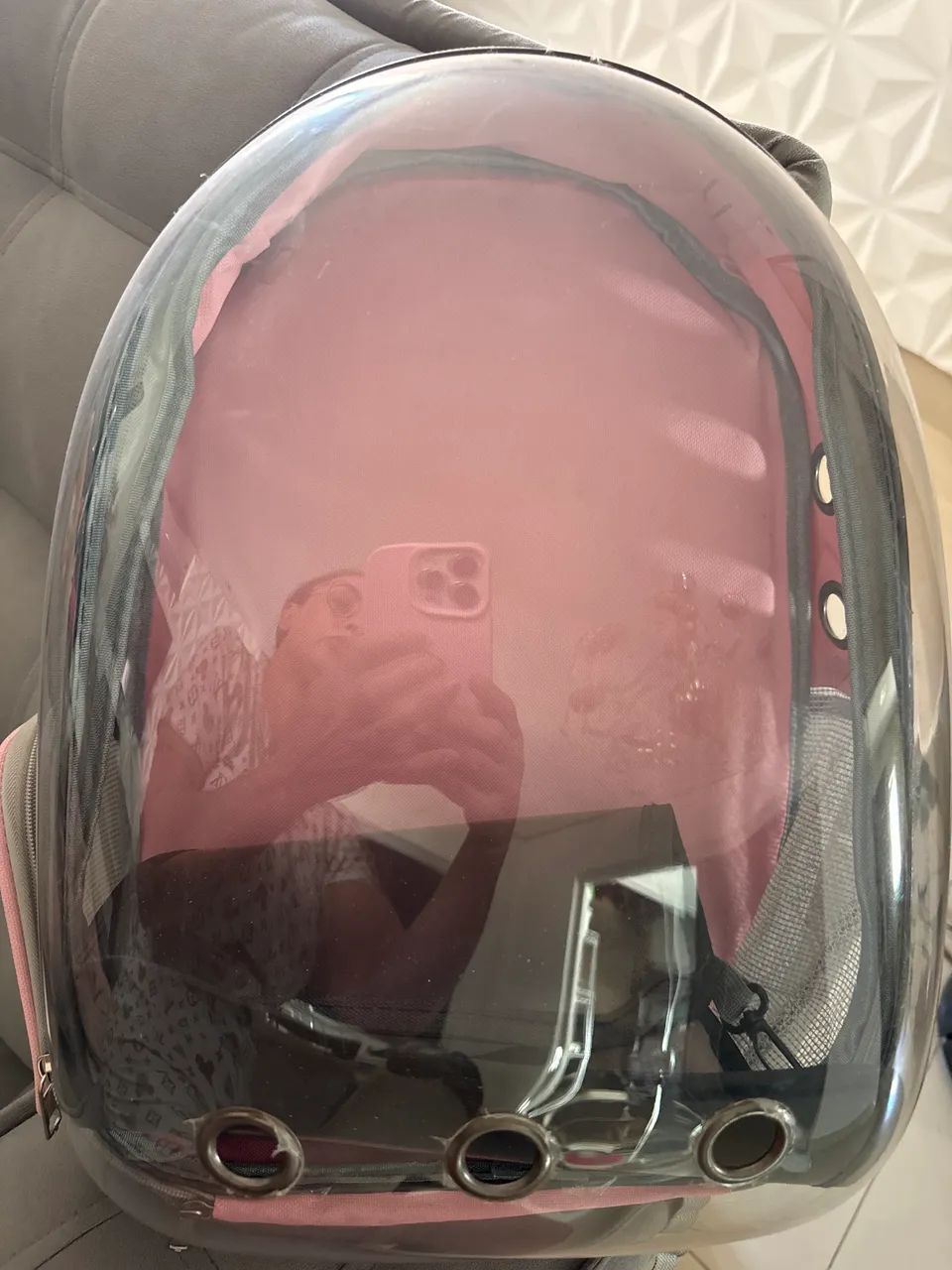 Mochila de gato