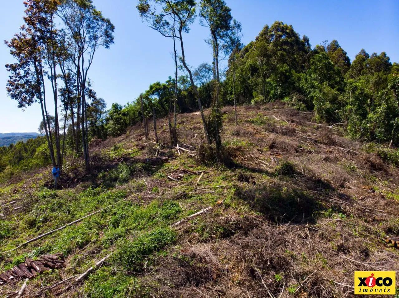 Sítio / Chácara para Venda em Nova Petrópolis, São Jacó - Foto 2