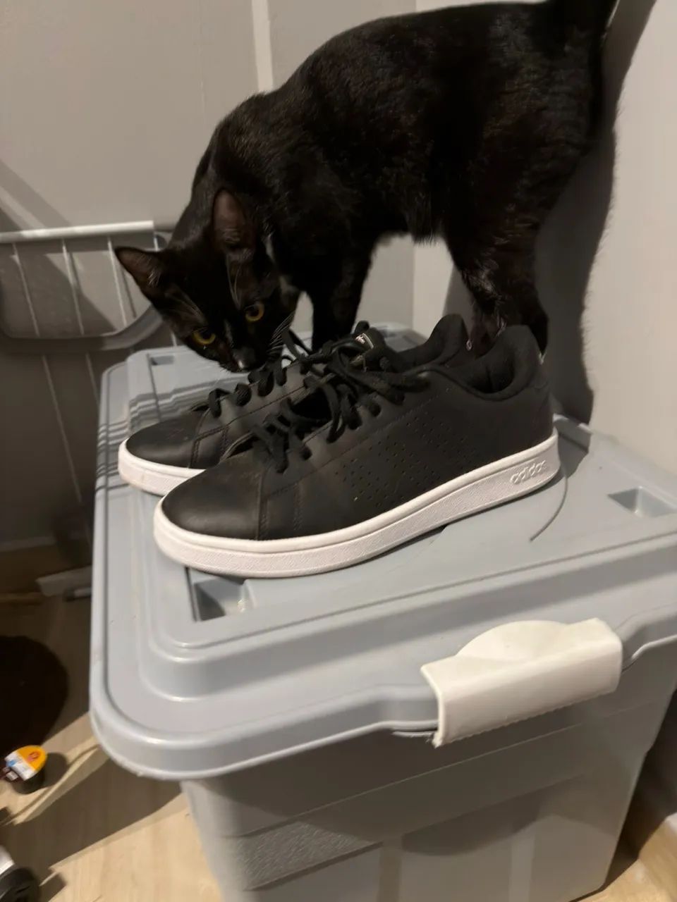 Tênis Adidas Advantage Base 2.0 - IMPECÁVEL - Foto 2
