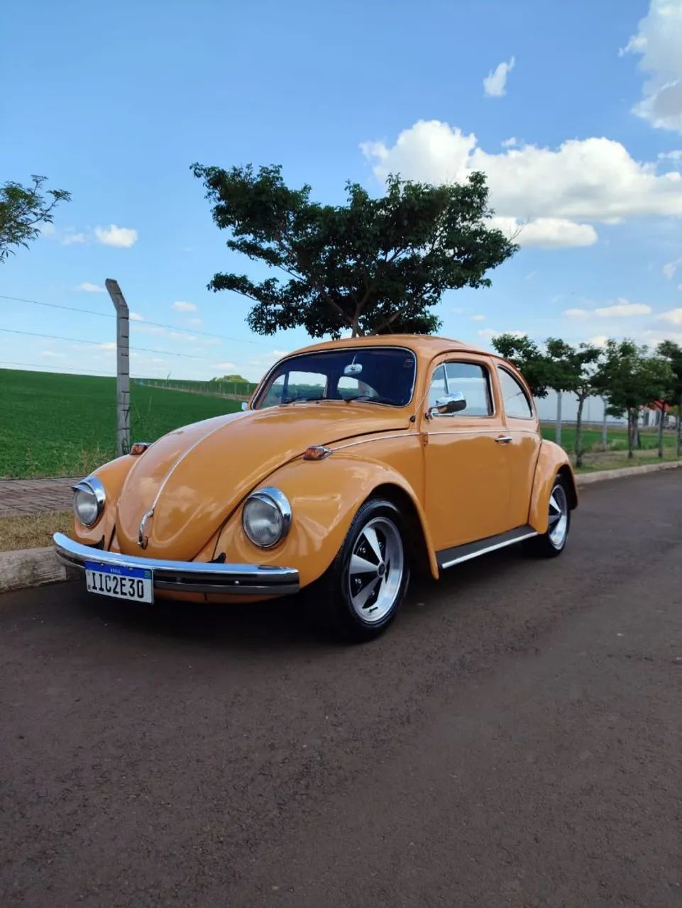 Volkswagen Fusca 2022