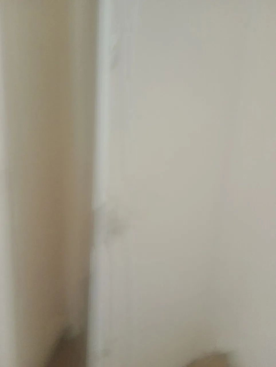 Pintor  em geral - Foto 5