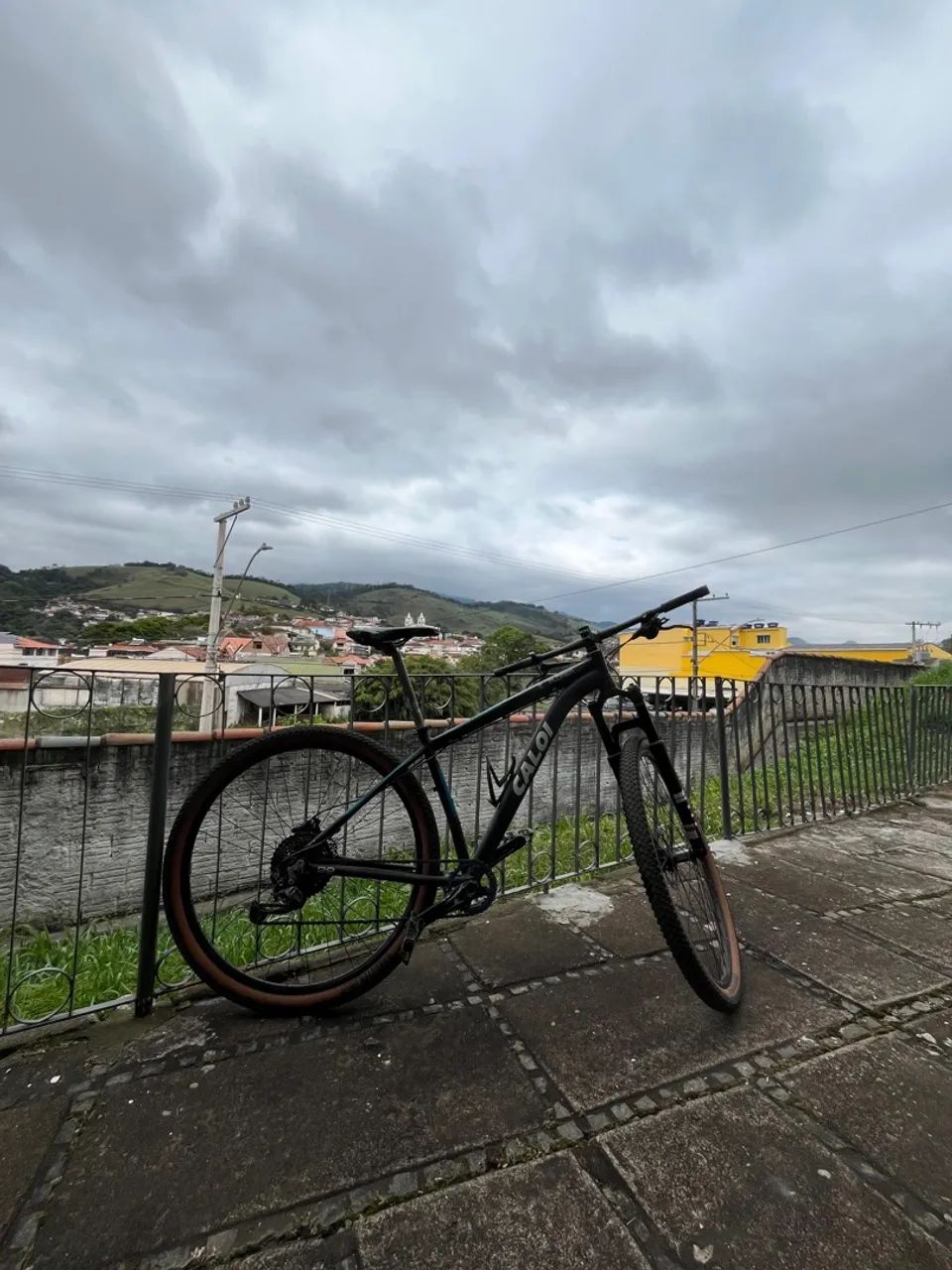 Bicicleta 29 