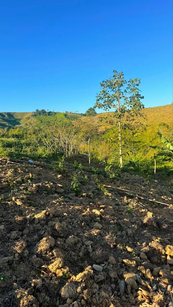 Vende-se Chácara  - Foto 3