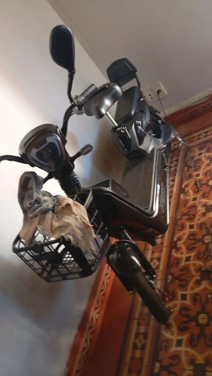 Scooter elétrica 