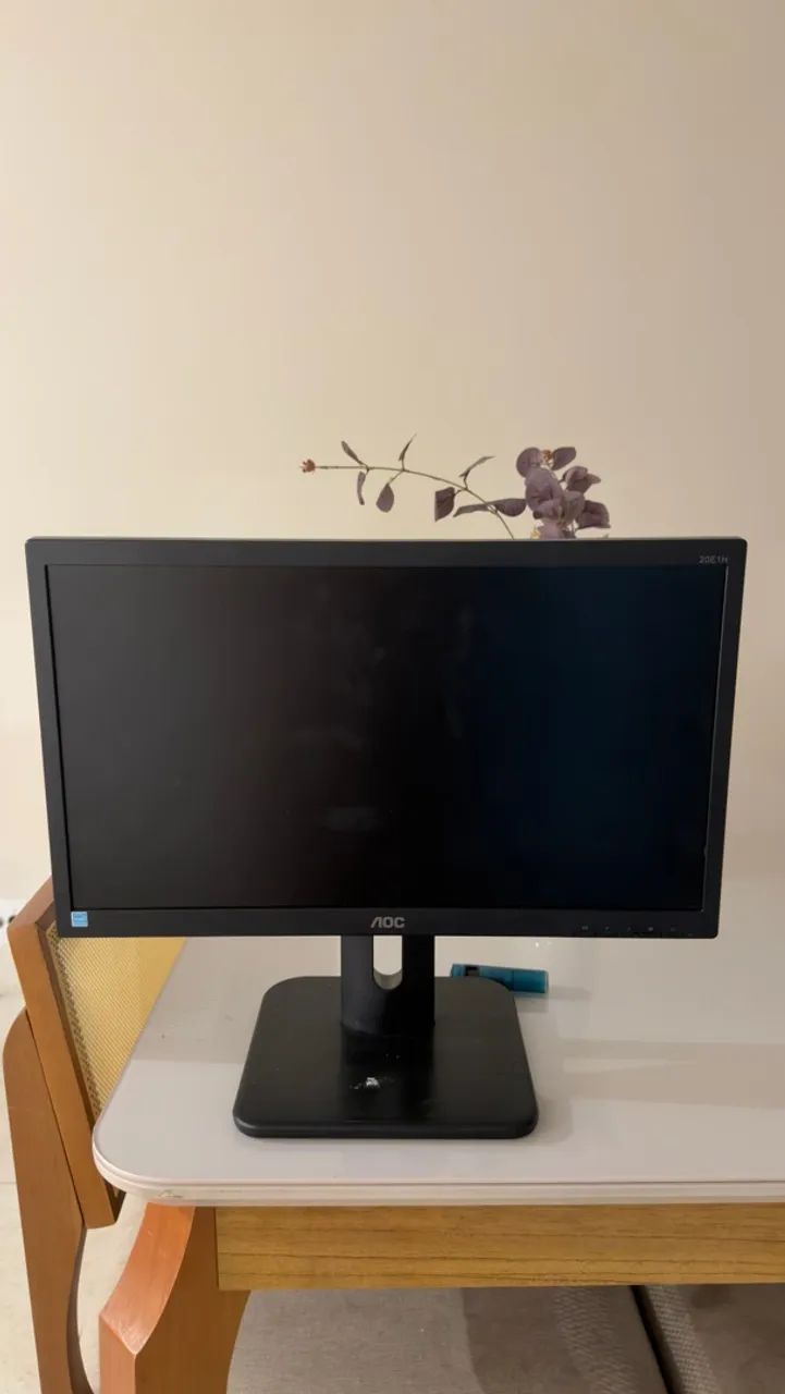Monitor AOC 19,5? LED HD+ - Modelo 20E1H