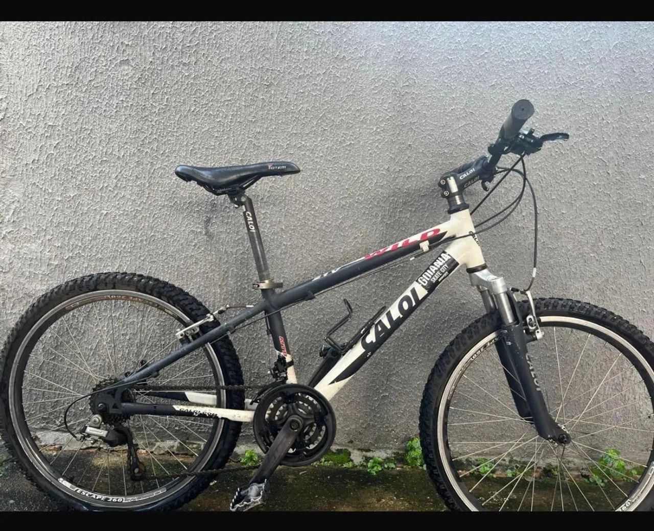 Bicicleta 