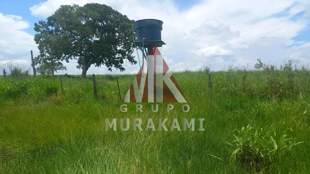 FAZENDA - SÃO GABRIEL DO OESTE - MS - Foto 5