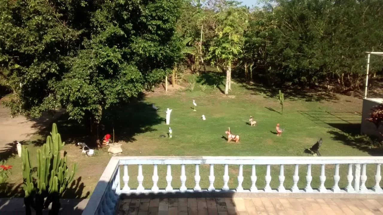 Vendo -Sitio - Foto 3
