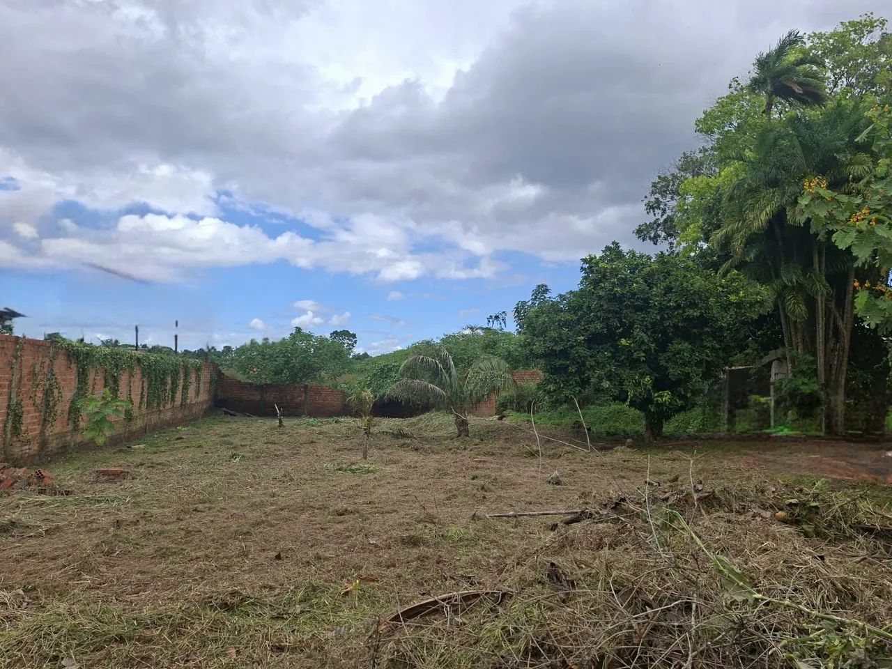 Vendo Exelente Chácara em Belém! - Foto 9