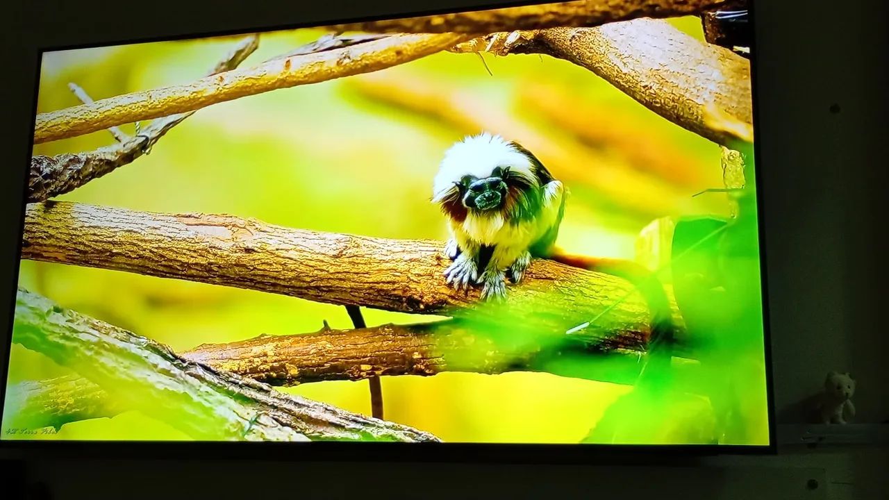 Vendo um esmat tv