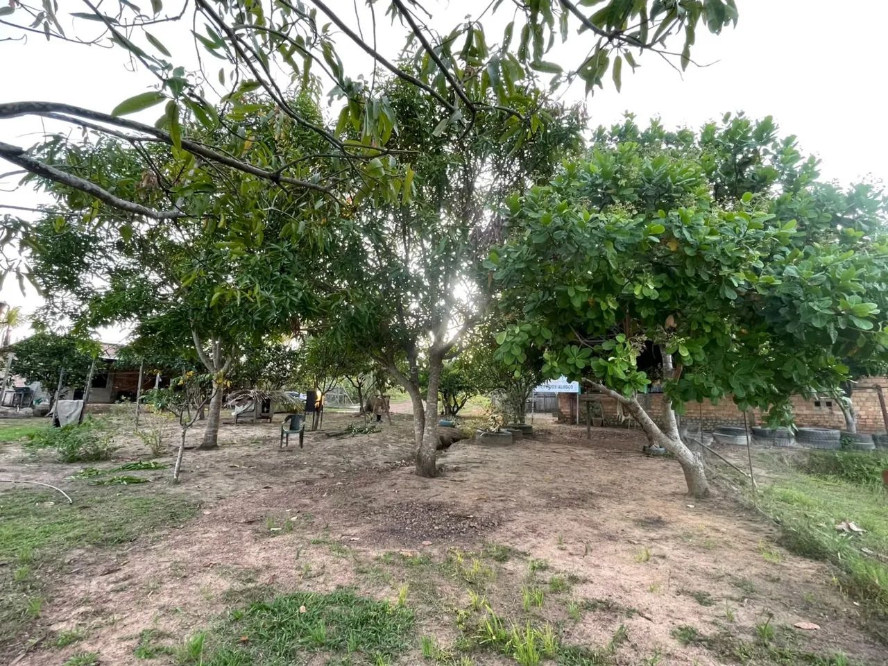 ? Chácara à Venda  - Foto 2