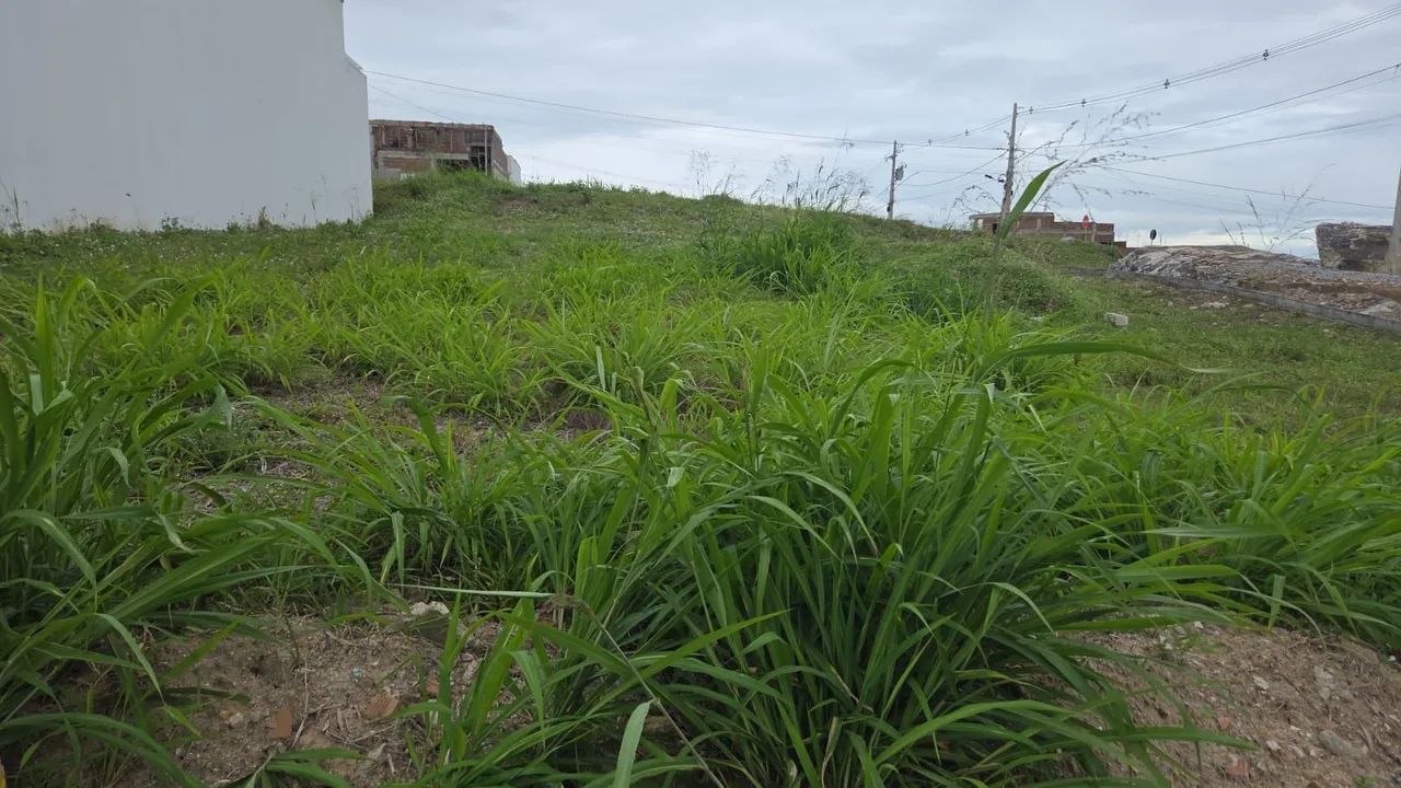 Terreno Plano no Ecoville  - Foto 2