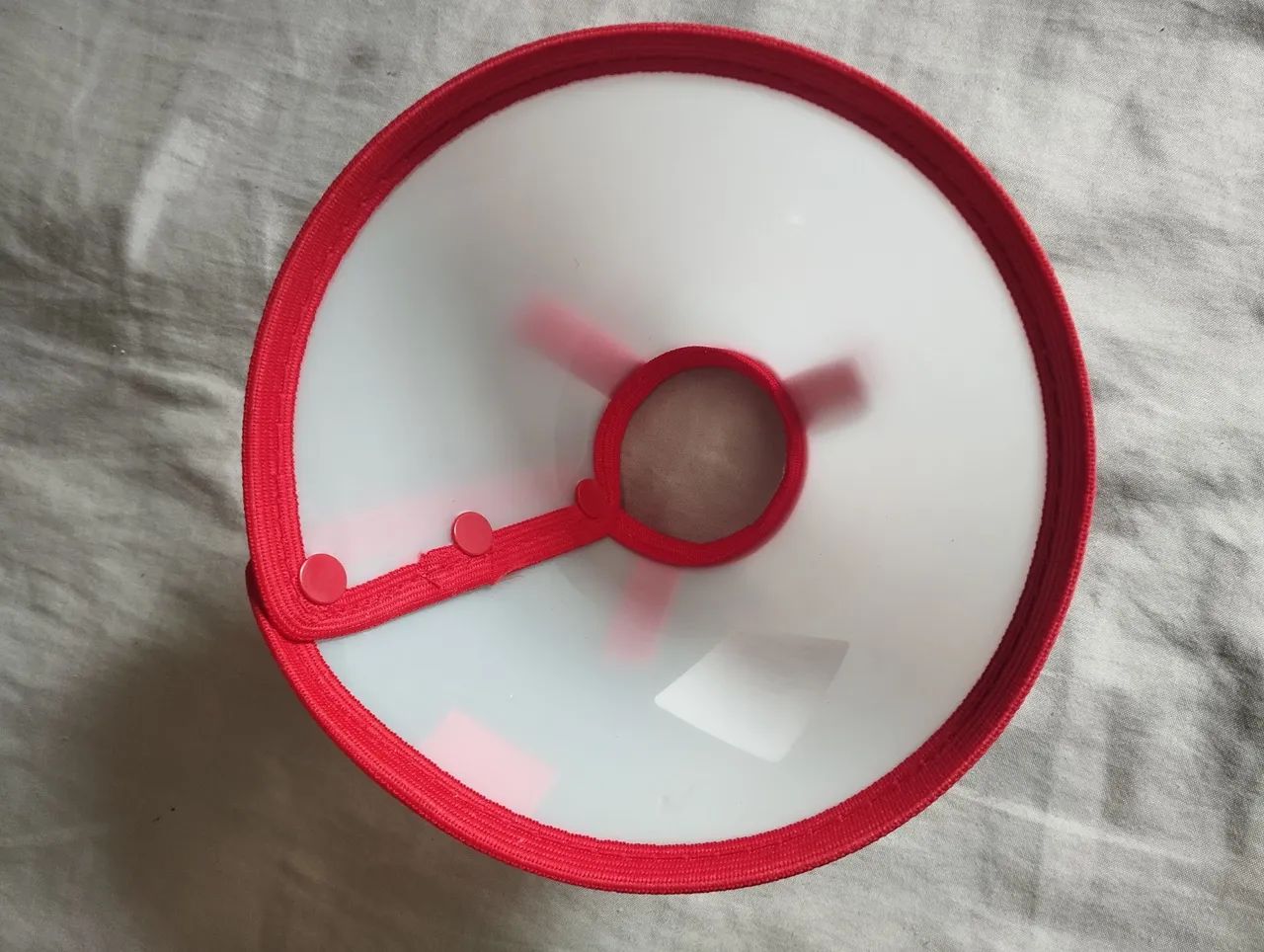 colar elizabetano (cone) para cachorro