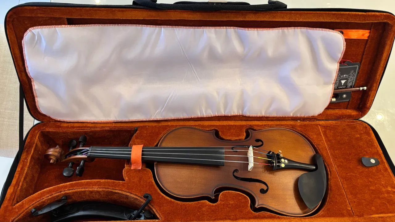 violino eagle 4/4 - Foto 3