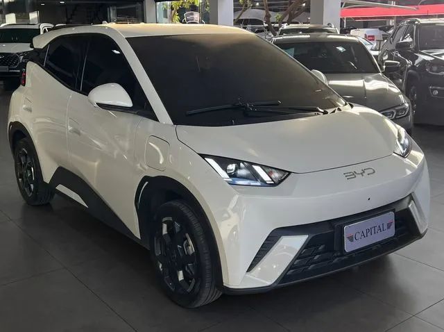 BYD Dolphin GS (Elétrico) 2026 - Foto 3