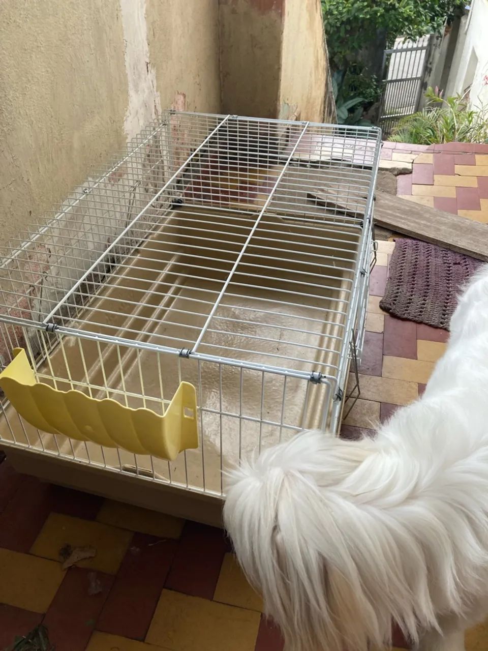 Gaiola para coelho  - Foto 4