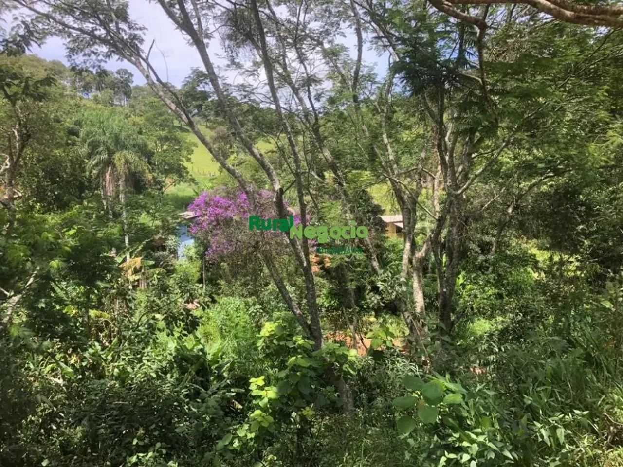 CHÁCARA FORMADA COM ACESSO FÁCIL EM CUNHA-SP - Foto 3