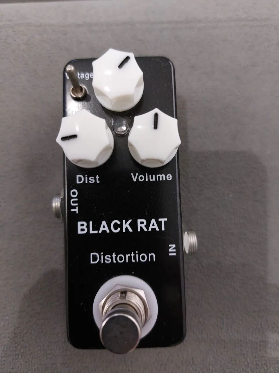 Mosky black rat