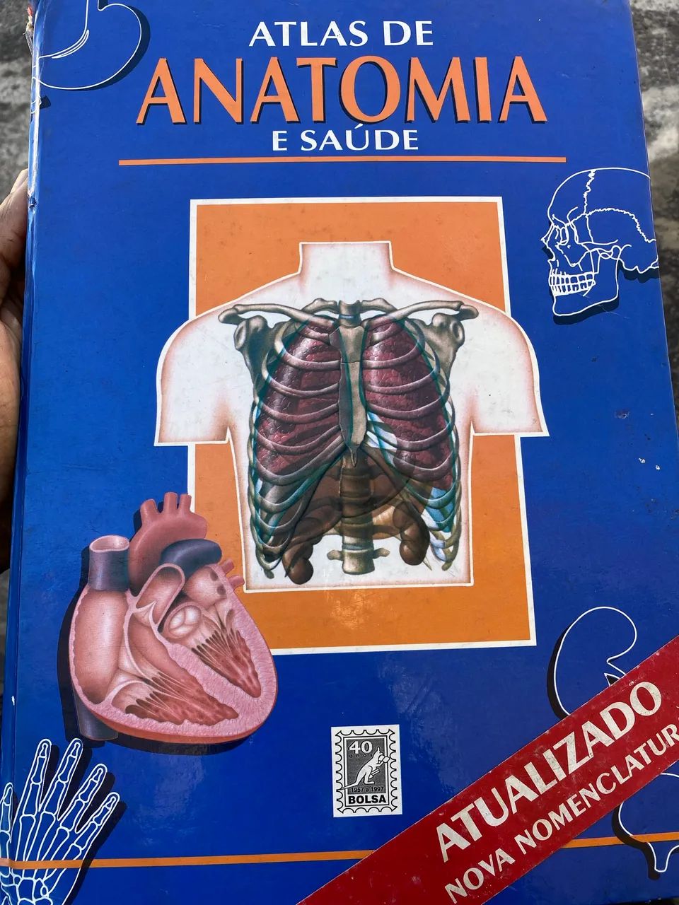 Atlas de anatomia E saúde 