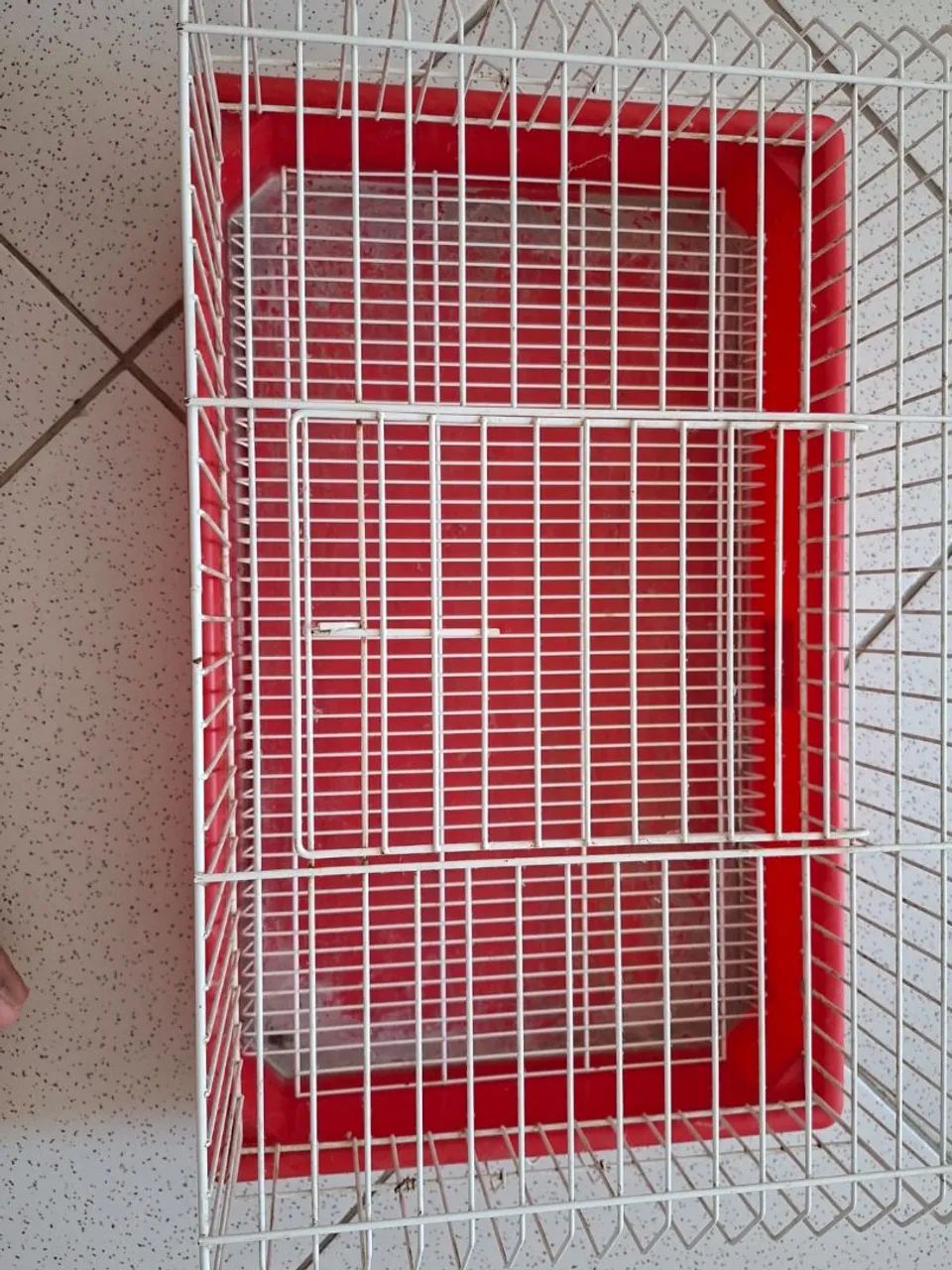 Gaiola para porquinho da india semi nova!