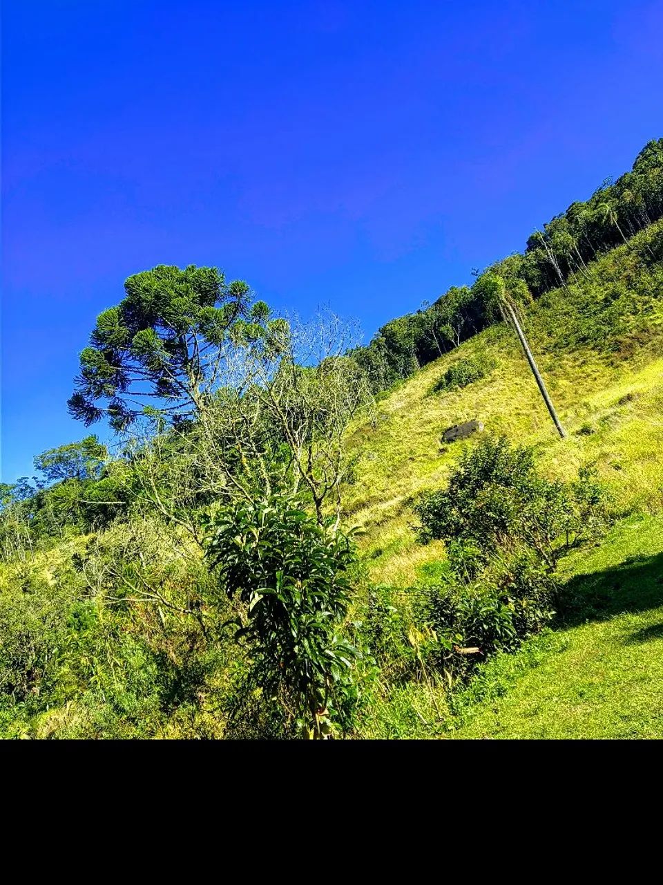 Pura natureza e água 