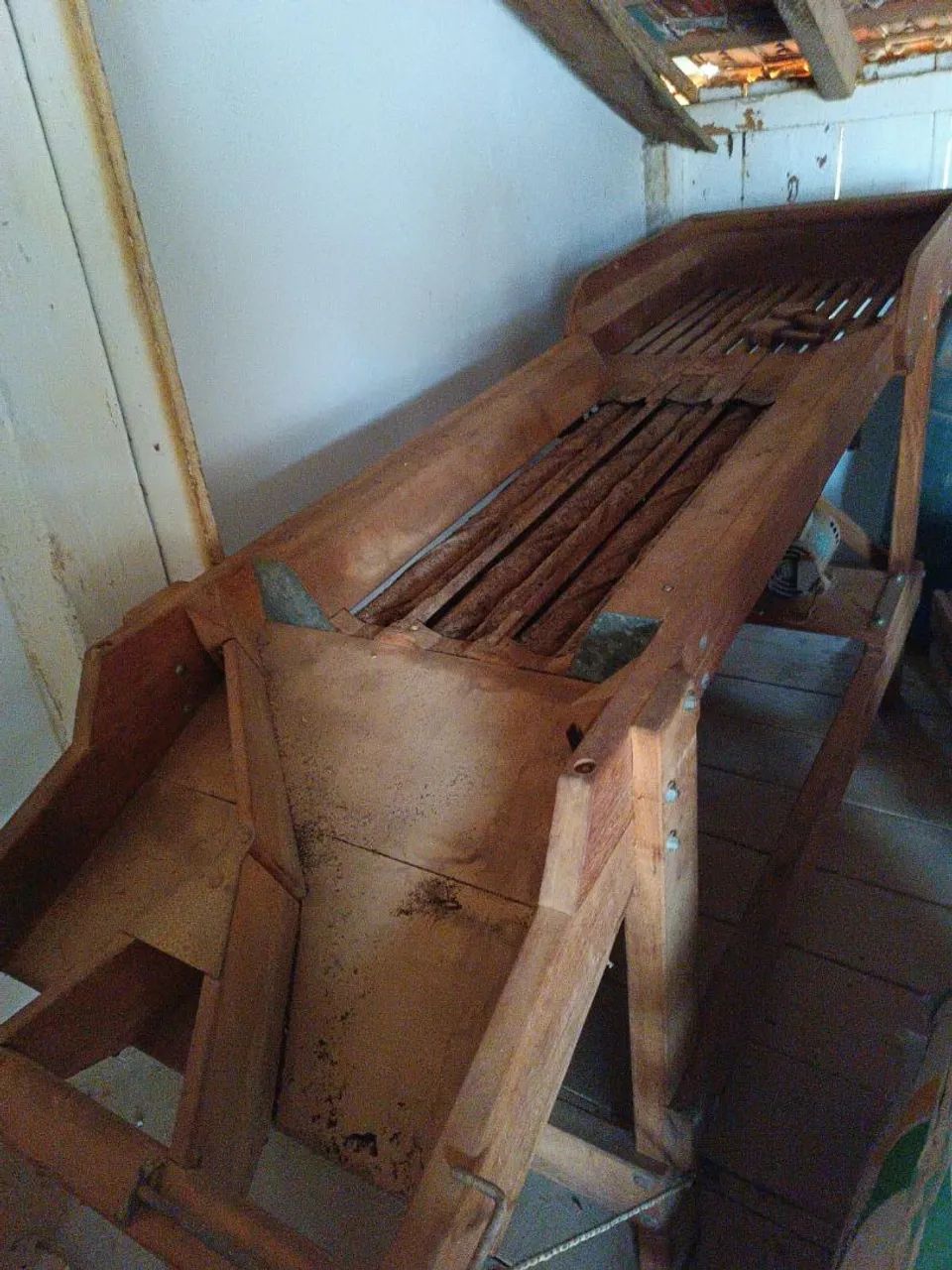  Cebola  - Foto 2
