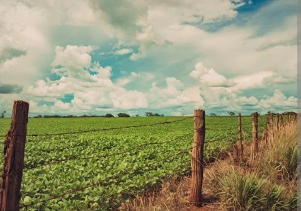 Foto - Brasília - Ponte Alta Norte (Gama)