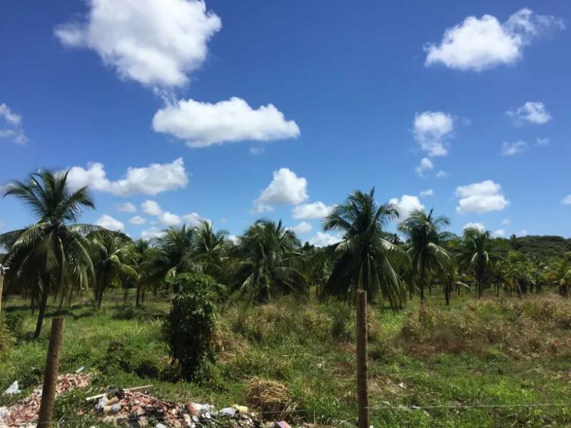 AREA COMERCIAL em CAMAÇARI - BA, CATU DE ABRANTES (ABRANTES)