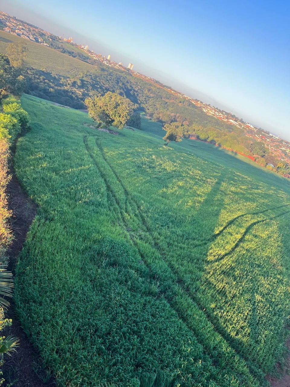 VENDE-SE Sitio em Ibiporã Paraná  - Foto 4